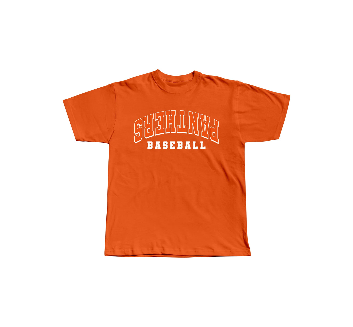 Panthers Design 2 Tshirt