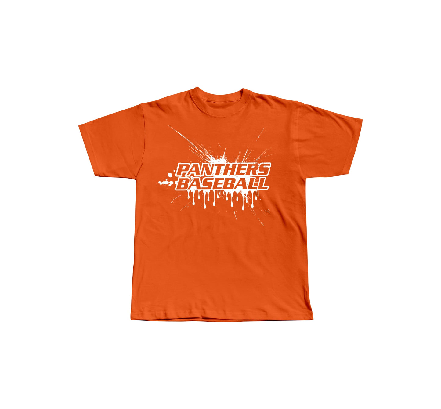 Panthers Design 4 Tshirt