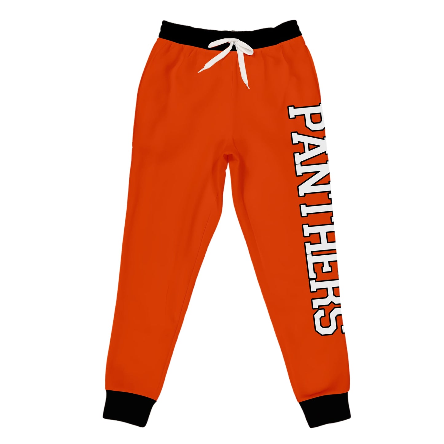 Panthers WBP Unisex Joggers #4