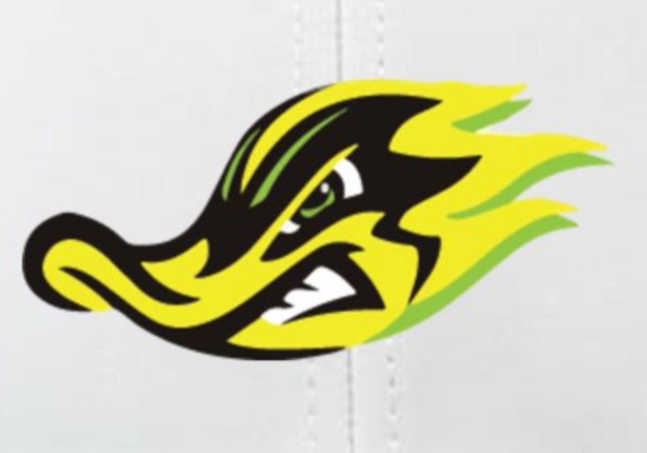 Diamond Ducks Baseball