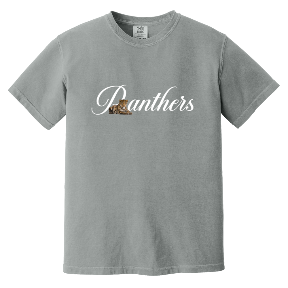 Panthers WBP Design #2