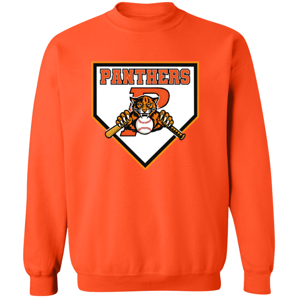 Panthers WBP Design #8