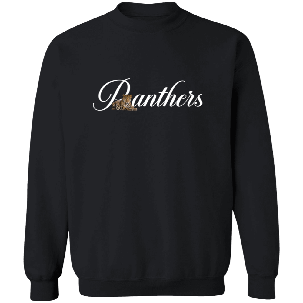 Panthers WBP Design #2