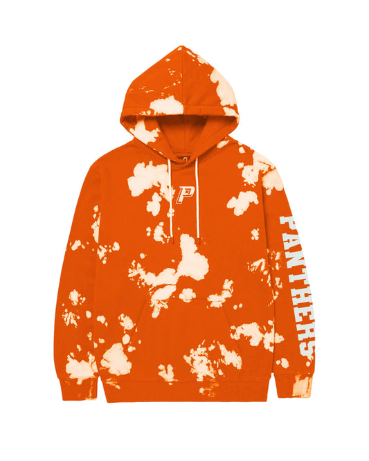 Panthers WBP Hoodie Design #1