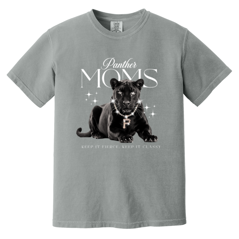 Panthers WBP Design #1