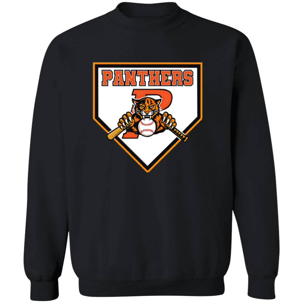 Panthers WBP Design #8