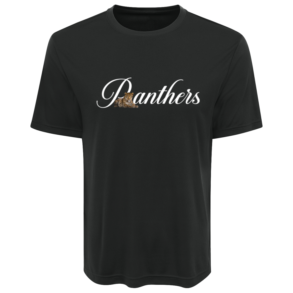 Panthers WBP Design #2
