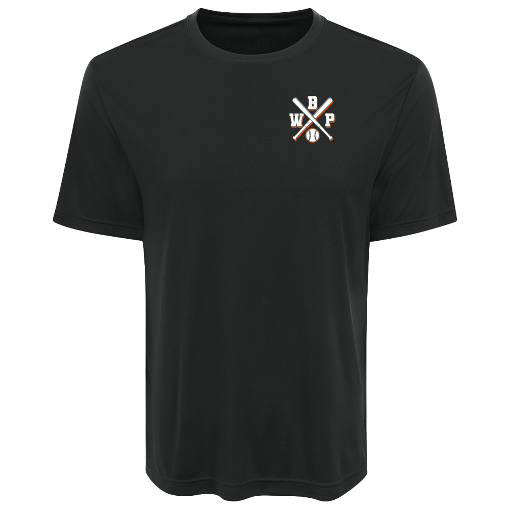 Panthers WBP Design #5